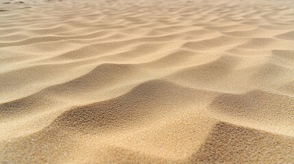 Sand dunes displaying subtle ripples created by the movement of wind across the fine grain surface