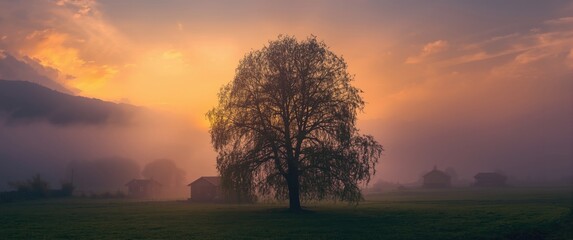 Rainy day sunset in the village