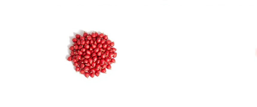 White background with Gac seeds isolated