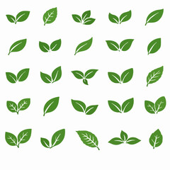 Simple Green Leaf Collection