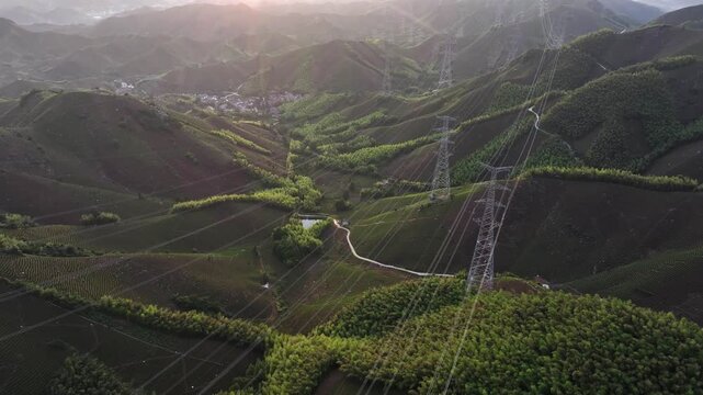 High-voltage transmission towers and terraced tea plantations winding through mountainous terrain at dawn