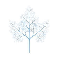 Obraz premium A delicate and intricate white leaf with detailed veins and branches isolated on a transparent background