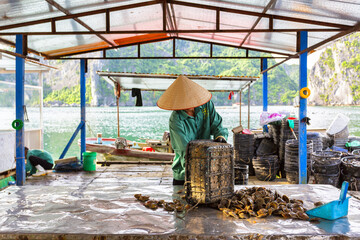 Floating market vendor in a small boat selling goods against the backdrop of limestone karsts in Ha Long Bay