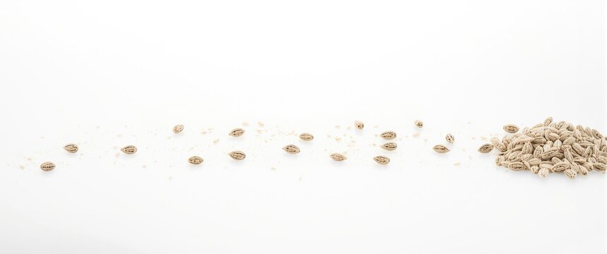 White background with isolated hemp seeds