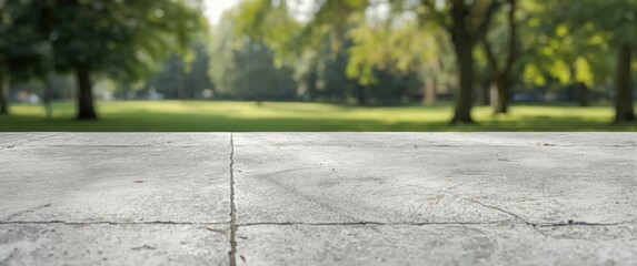 Park floor featuring old white concrete texture