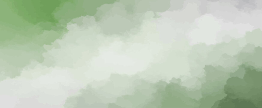 Abstract Watercolor Background in Earthy Green and White Gradient Texture Digital Paint Effect Vector