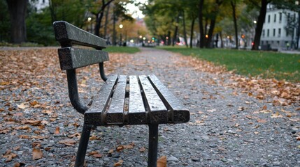 A park bench with a wet seat and backrest, surrounded by fallen leaves and a path.