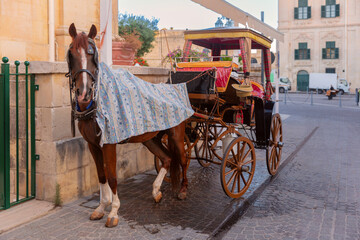 Traditional horse carriage parked on a street in Valletta, Malta