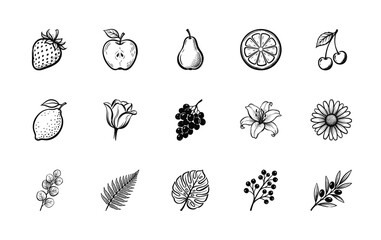 Fototapeta premium Hand-Drawn Vintage Engraving Botanical Flora and Fruit Graphic Element Kit for Organic Branding and Natural Stationery