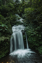 Waterfall in the jungle of Bali