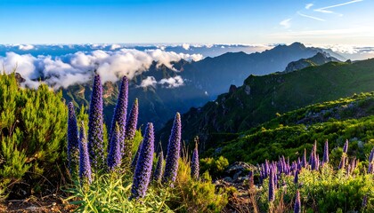 Mountain landscape with purple flowers and clouds.