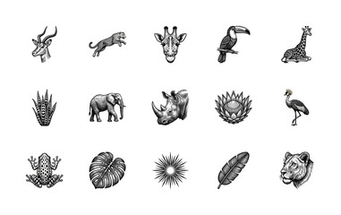 Fototapeta premium Vintage Engraving African Wildlife and Tropical Flora Graphic Element Kit for Nature Branding
