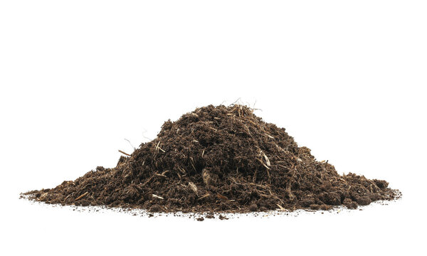 pile peat moss soil isolated on a white background. texture dirt in flowerpots for tree flower. compost dust gardening and agricultural