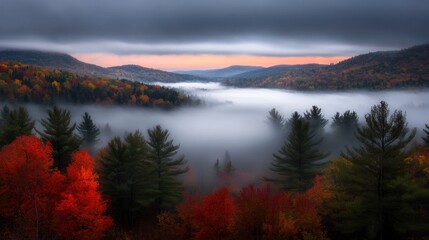A forest with autumn trees and a foggy valley.