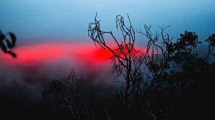 Sunset over the Mountains