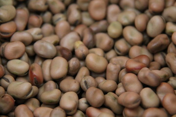 A Background Image of a Winter Bean Cereal Crop.