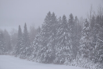Obraz premium During the storm, Sainte-Apolline, Québec, Canada