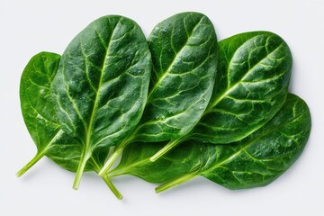 Fototapeta premium Isolated fresh spinach leaves, flat lay on white background, high-contrast lighting