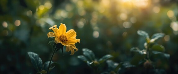 Most Stunning Flower Globally