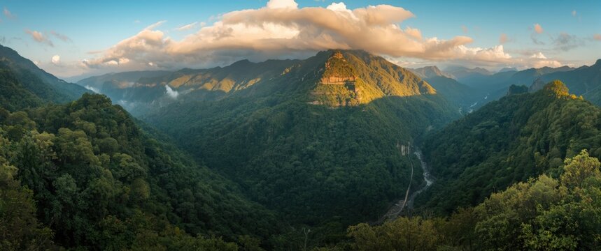 Taiwan's notable landslide dam: Water Forest (Shuiyang Forest)
