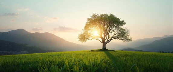 Fototapeta premium Inspirational Sayings and Images to Promote Success in Life