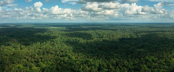 The expansive Amazon jungle captured from the sky