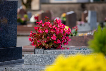 Gros bouquets de fleurs fraiches et multicolore d&eacute;pos&eacute;s sur les tombes dans cimeti&egrave;re &agrave; l'occasion de la Toussaint. France. Cela rend hommage au d&eacute;funt et t&eacute;moigne de l'attachement et du respect.