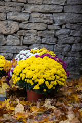 Gros bouquets de fleurs fraiches et multicolore déposés sur les tombes dans cimetière à...