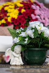 
Petit pot de rose blanche en plastique d&eacute;pos&eacute; sur une s&eacute;pulture dans un cimeti&egrave;re. Un ange est assis &agrave; son cot&eacute;. France. Cela rend hommage au d&eacute;funt et t&eacute;moigne de l'attachement.