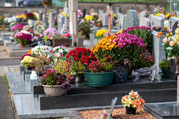 Cimeti&egrave;re avec des s&eacute;pultures couvertes de fleurs fraiches &agrave; l'occasion de la Toussaint. France