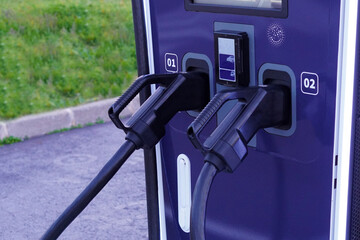 Ecology and sustainability. Charger for electric cars with green vegetation behind it.