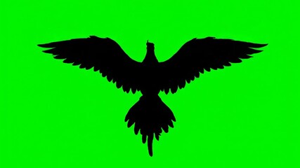 Black Bird Silhouette Flying Against Green Screen.