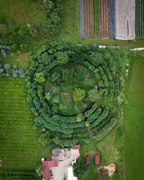 Aerial view of a circular labyrinth of trees surrounding a central green space, contrasting textures of manicured lawns and wild foliage, Val-de-Ruz, Neuchatel, Switzerland.