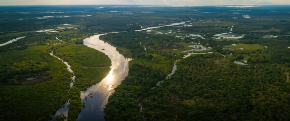 Airplane view of river sunrise in the tropics featuring lakes, rivers, lush green grass, and water-filled trees in rainy season. Coastal nature scene.