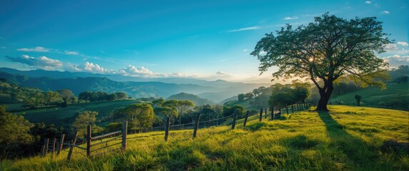 Obraz premium Summer rural landscape in Minas Gerais with blue sky, mountains, trees, and lush grass, perfect for travel and nature lovers