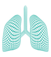 Abstract Human lungs Mesh Shape 3D Icon