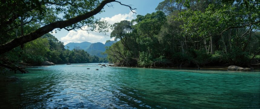 Jungle and River Ecosystems