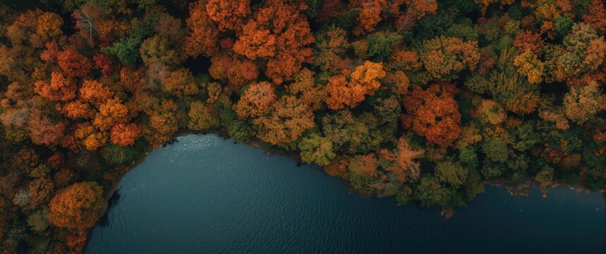 Aerial perspective of vibrant nature in the forest