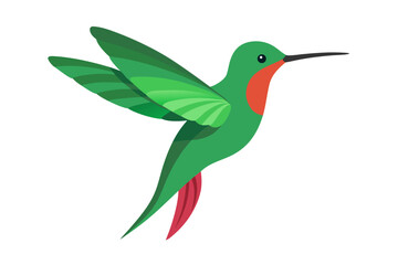 Obraz premium hummingbird on green background