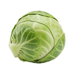 Fototapeta premium Single green cabbage on black background vegetable isolated on Transparent Background