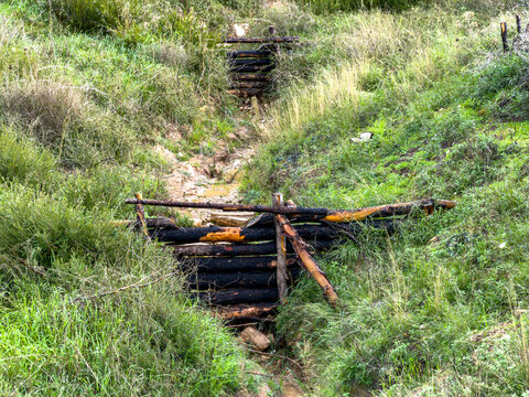 Wood log check dams span a narrow erosion gully in a grassy hillside after rain
