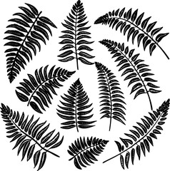 A collection of stylized green fern illustrations against a transparent checkered background. The ferns vary in size and orientation, arranged in a visually scattered but organized manner. The waterco
