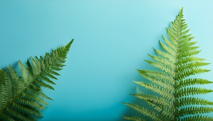 Green Fern Fronds On Light Blue Background