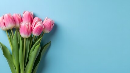 Fototapeta premium Pink tulips on light blue background