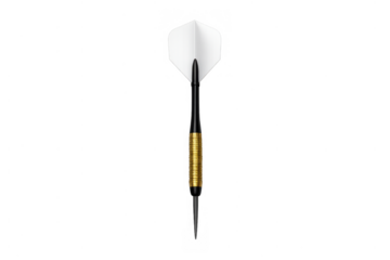 Dart for accuracy game, finding success and hitting objective target, professional sports equipment