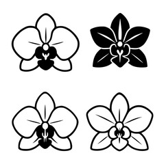 4 orchid flower illustrations, black, transparent background