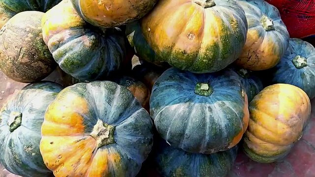 Close-up of a pile of fresh organic pumpkins or squashes at a local vegetable market.