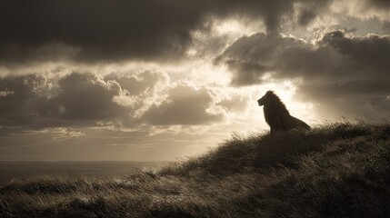 Majestic lion silhouette on a hill against dramatic cloudy sky