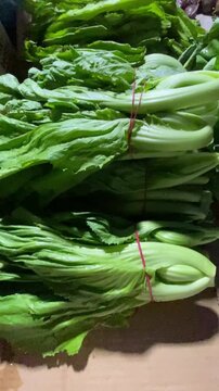 Fresh vegetable known as green sawi or choy sum sale at the traditional market