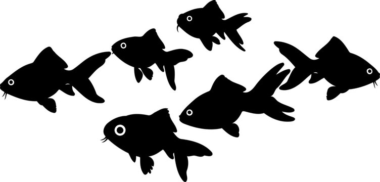 School of goldfish black silhouettes swimming together in various directions in side profile